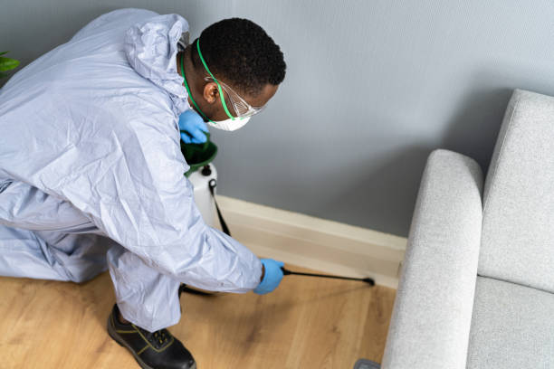 Best Pest Exclusion Services  in Adelphi, MD